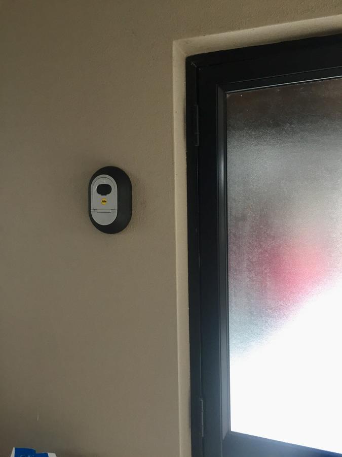 Palm Garden Apartment オークランド エクステリア 写真